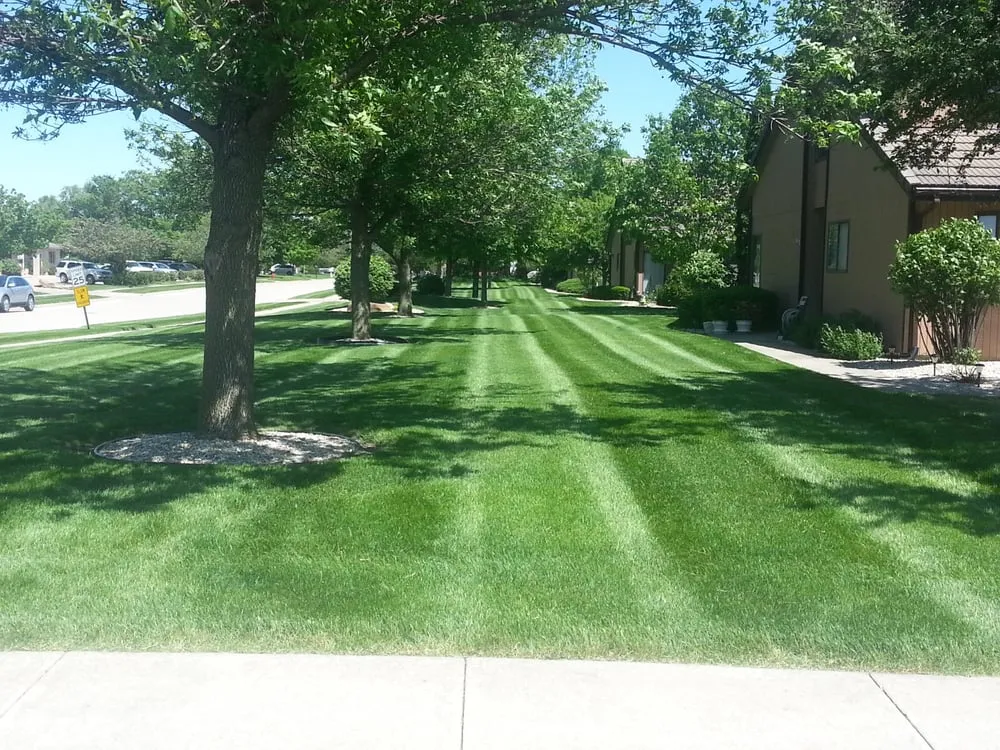 Custom lawn mowing service experts serving Morris, IL - Anderson & Sons