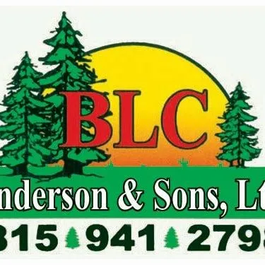 Affordable landscape installation near you across Morris, IL - Anderson & Sons