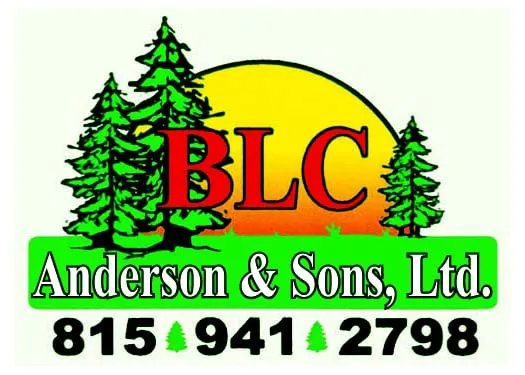 Expert landscape design for year-round maintenance in Morris, IL by Anderson & Sons
