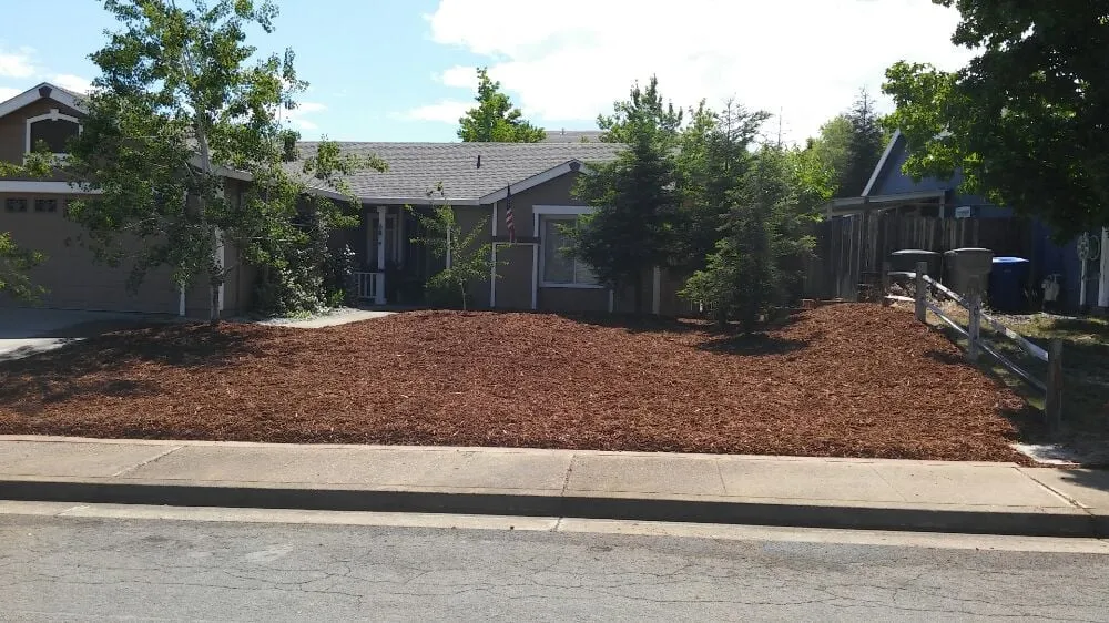 Local yard cleanup service in Redding, CA - Anderson Bobcat and Landscape Services