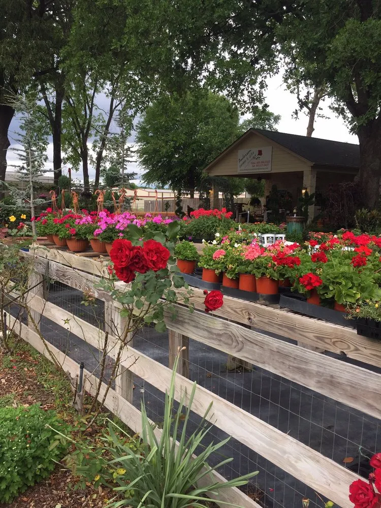 Professional yard cleanup service in Flint, TX - Anderson Custom Landscaping