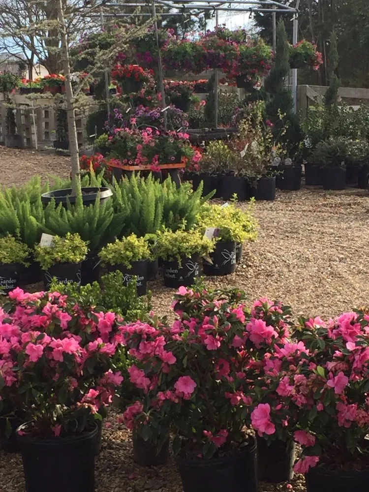 Trusted landscape design for year-round maintenance in Flint, TX by Anderson Custom Landscaping