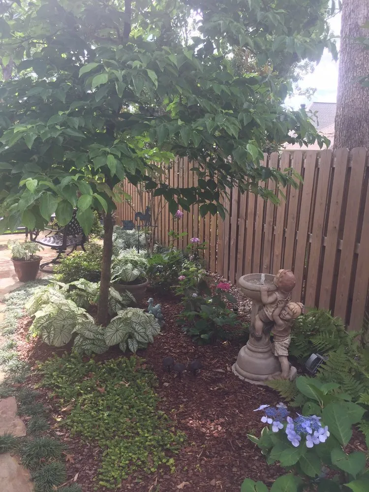 Expert landscaping services experts serving Flint, TX - Anderson Custom Landscaping