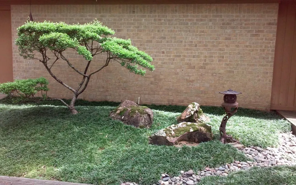 Custom residential landscaping in Flint, TX by Anderson Custom Landscaping