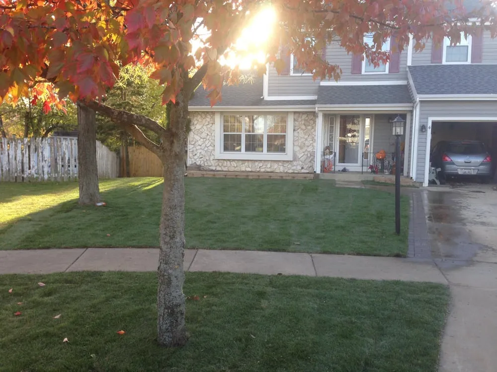 Top-rated lawn care service experts serving Bartlett, IL - Anderson Davis Landscaping