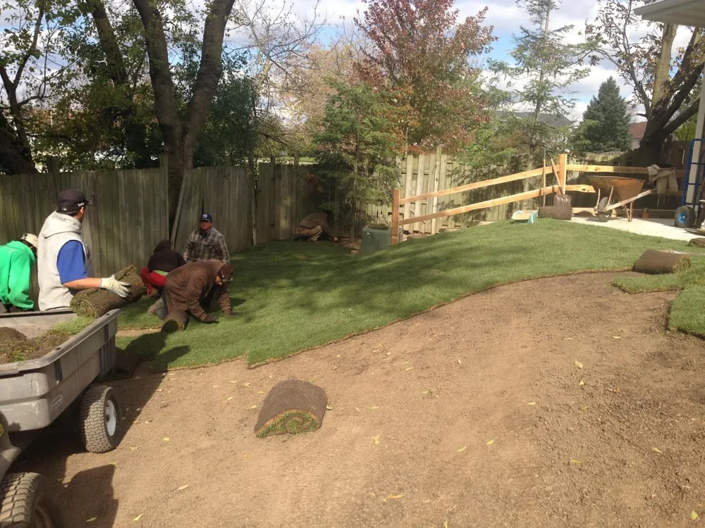 Expert outdoor landscaping in Bartlett, IL by Anderson Davis Landscaping