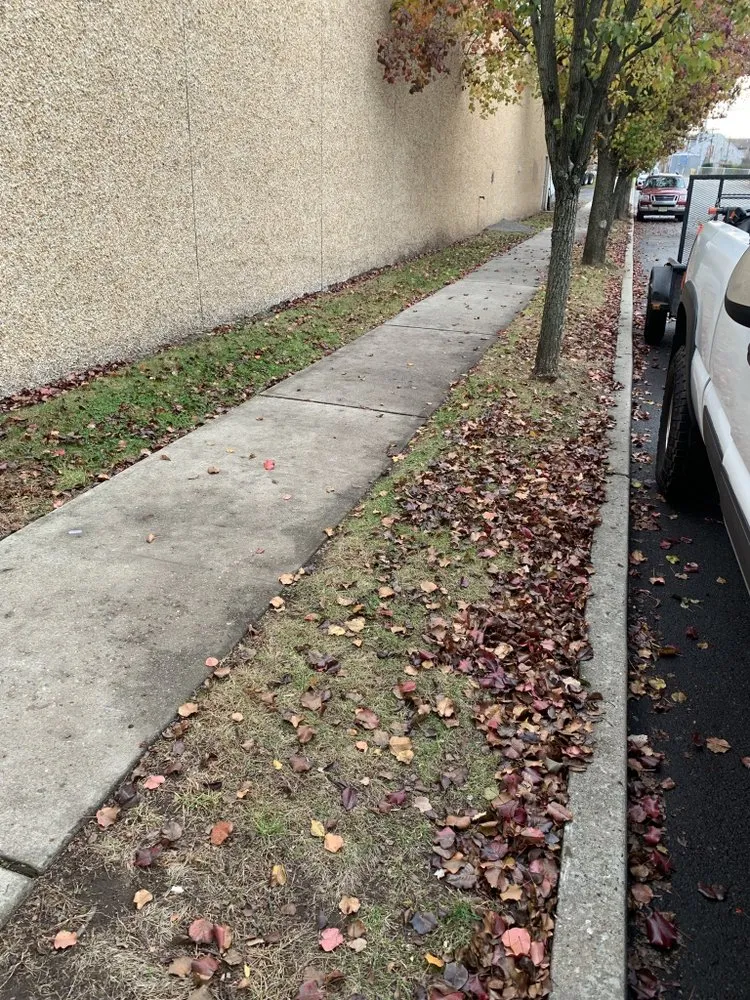 Top-rated lawn care service in Clifton, NJ - Anderson Dynamics