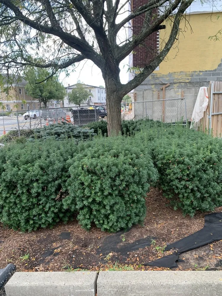 Trusted landscape installation near you in Clifton, NJ by Anderson Dynamics