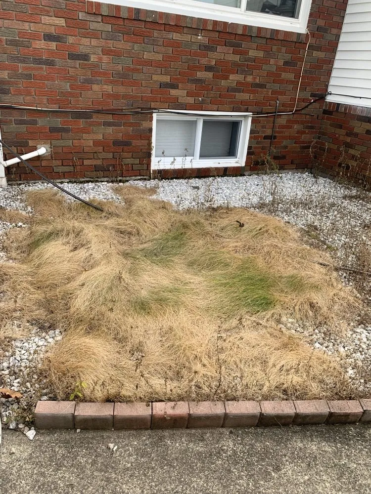 Trusted garden landscaping for year-round maintenance in Clifton, NJ by Anderson Dynamics