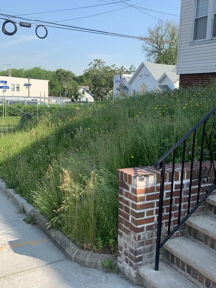 Top-rated landscape installation in Clifton, NJ - Anderson Dynamics