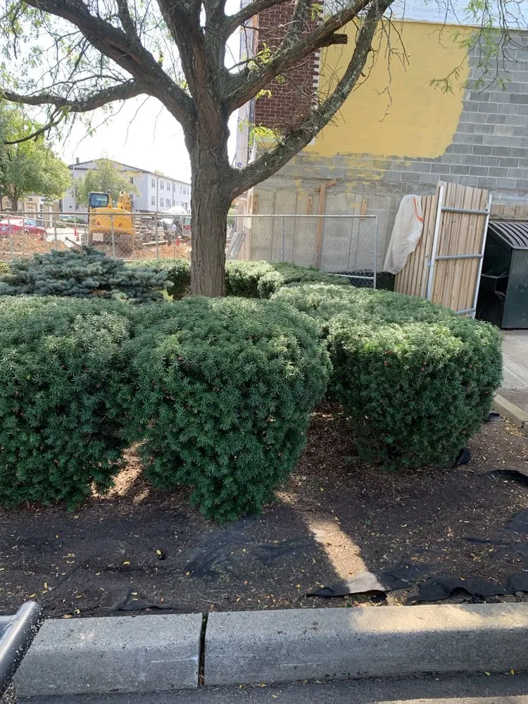 Expert outdoor landscaping for outdoor upgrades across Clifton, NJ - Anderson Dynamics