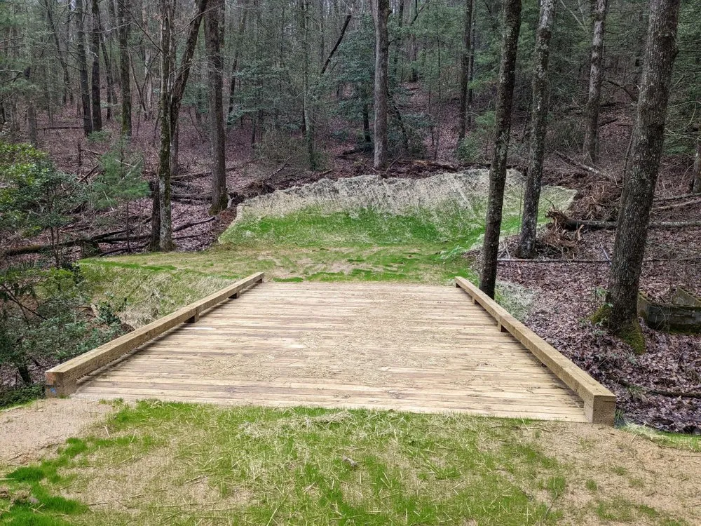 Professional residential landscaping in Cleveland, GA - Anderson Earthworks Grading & Landscaping