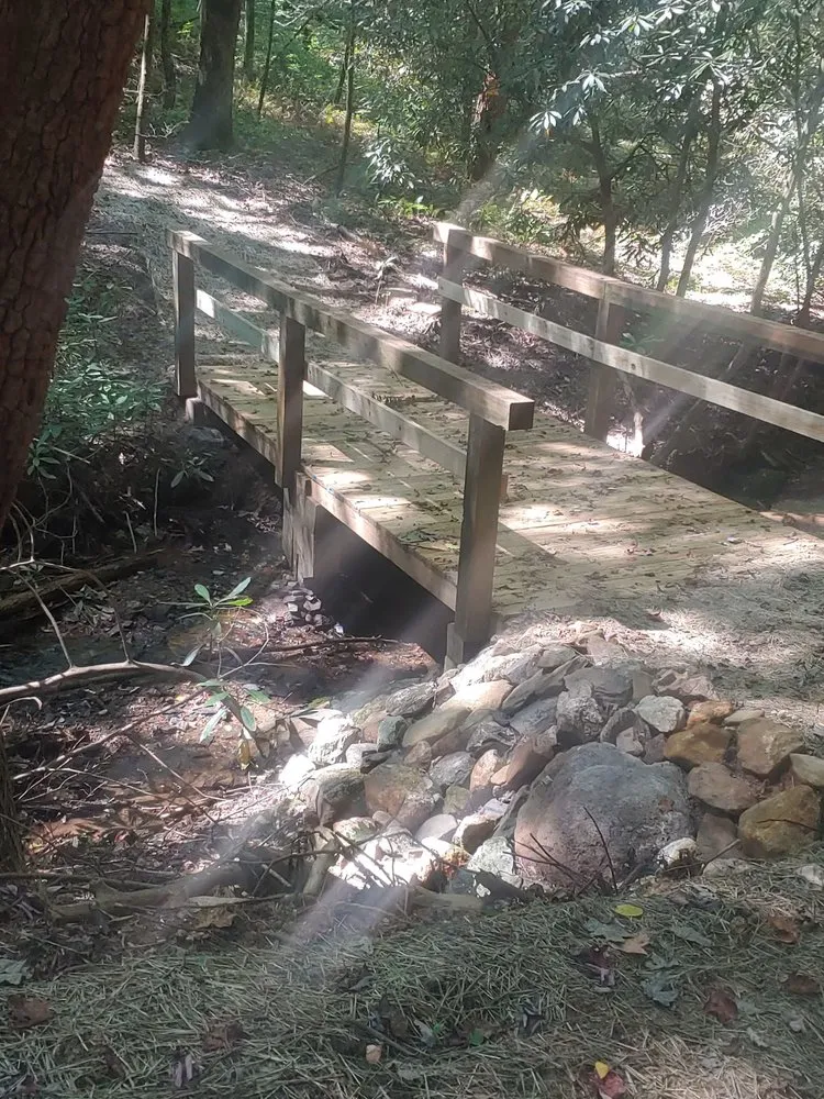 Local residential landscaping for year-round maintenance in Cleveland, GA by Anderson Earthworks Grading & Landscaping