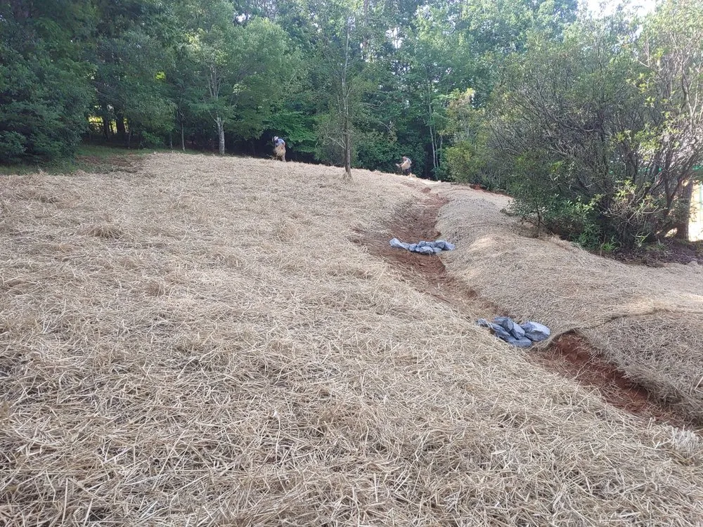 Expert landscape design in Cleveland, GA by Anderson Earthworks Grading & Landscaping