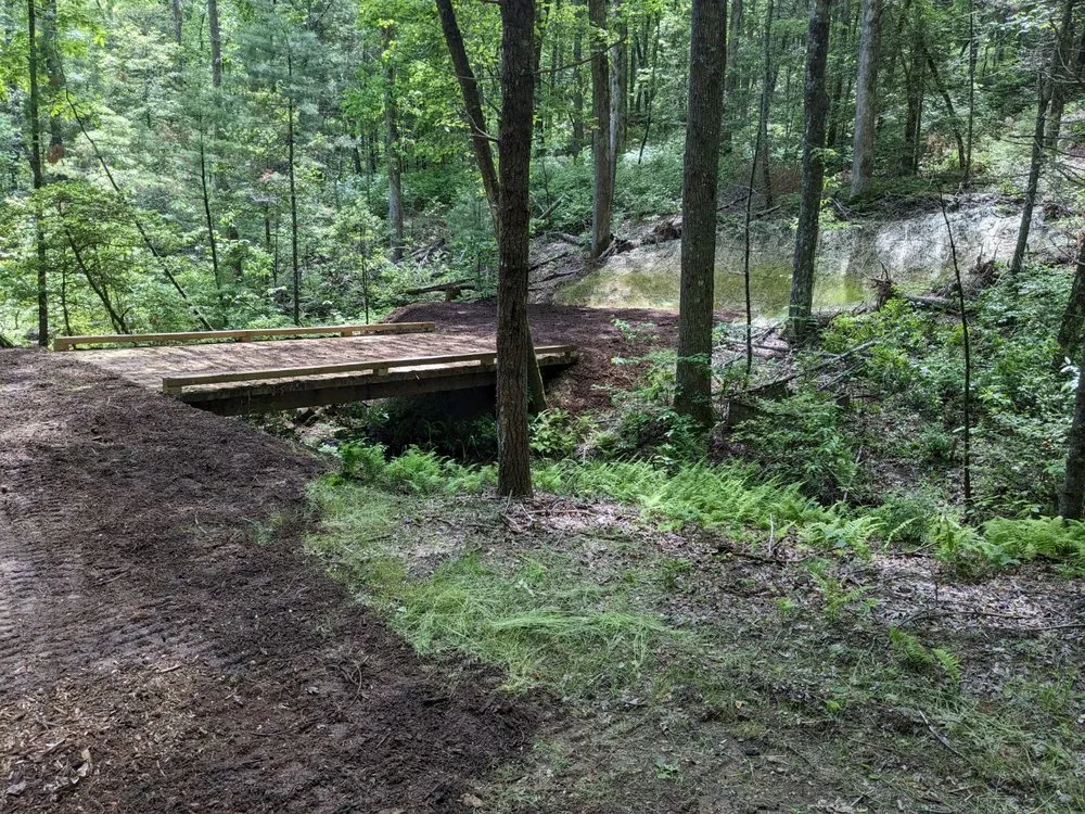 Affordable yard cleanup service in Cleveland, GA by Anderson Earthworks Grading & Landscaping