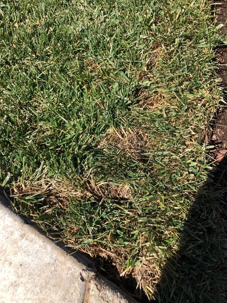 Expert lawn mowing service for homes in Canby, OR by Anderson Family Farms