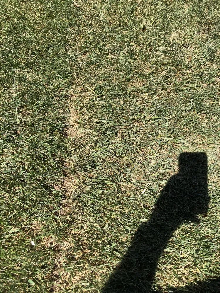 Custom landscape design experts serving Canby, OR - Anderson Family Farms