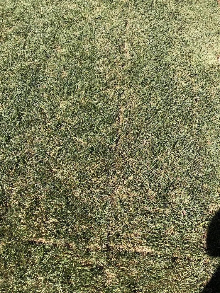 Reliable landscape installation experts serving Canby, OR - Anderson Family Farms