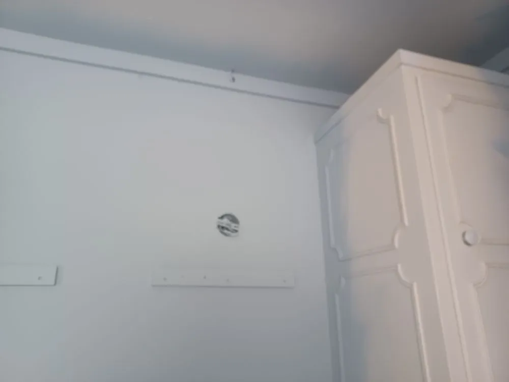 Top-rated lawn care service for beautiful yards across Muscatine, IA - Anderson Handyman Services