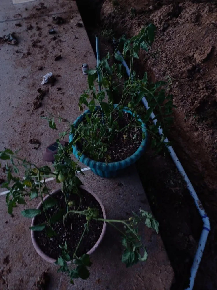 Custom yard cleanup service with custom design across Muscatine, IA - Anderson Handyman Services