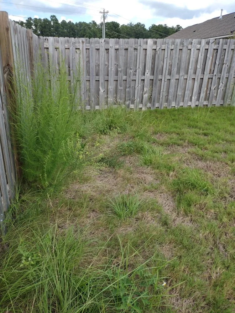 Affordable yard maintenance for year-round maintenance across Windsor, SC - Anderson Landscape & Maintenance Services