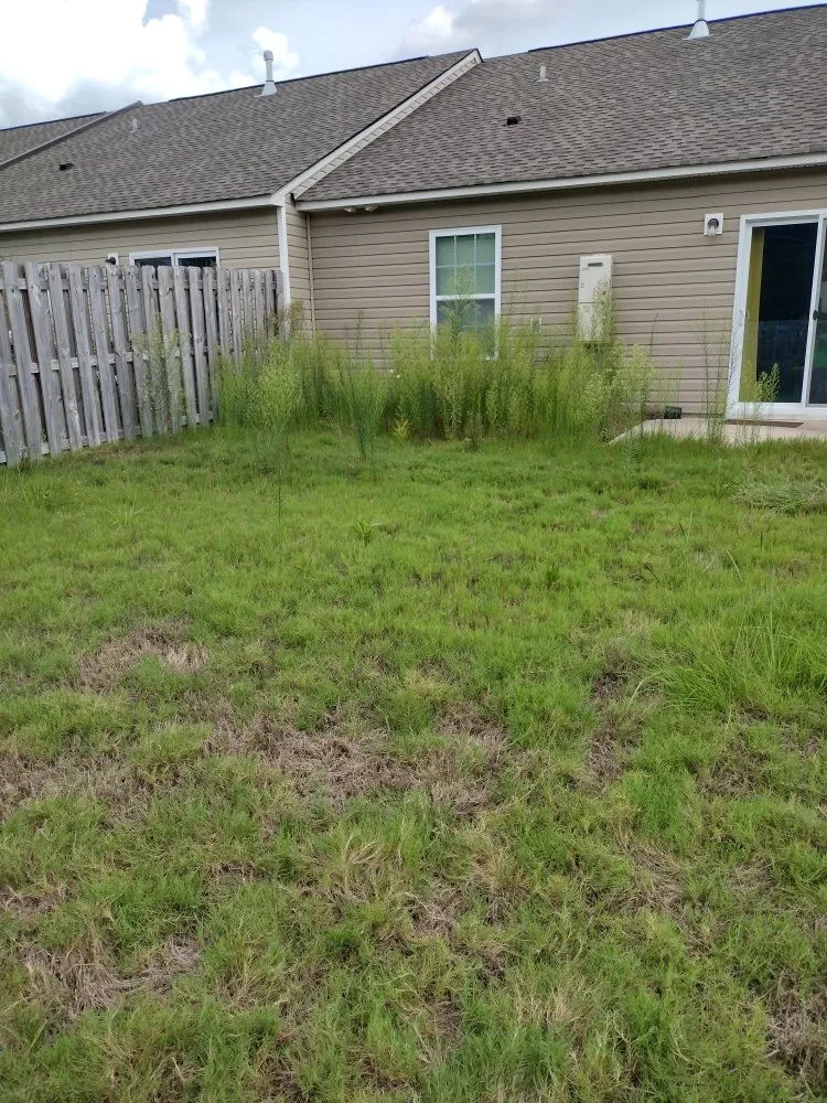 Custom outdoor landscaping for residential properties in Windsor, SC by Anderson Landscape & Maintenance Services