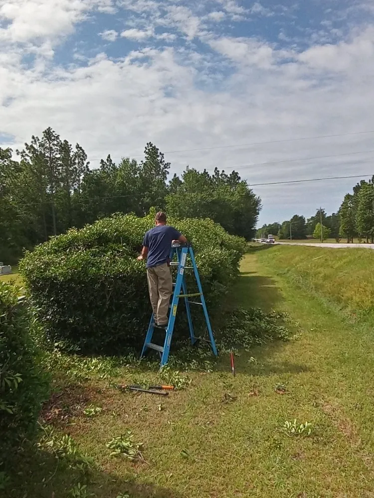 Custom yard cleanup service near you in Windsor, SC by Anderson Landscape & Maintenance Services