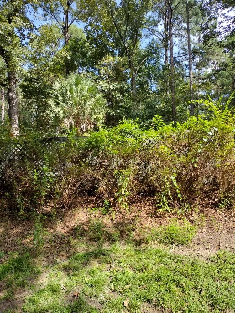 Custom residential landscaping in Windsor, SC by Anderson Landscape & Maintenance Services