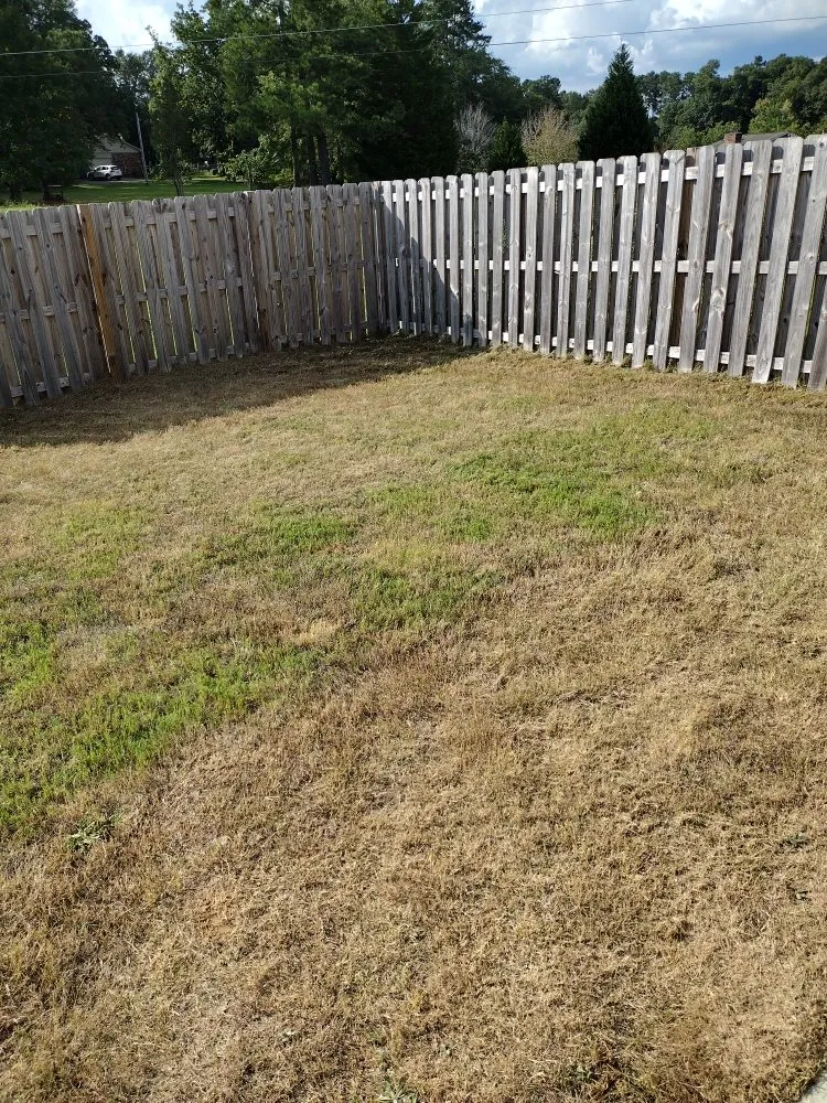 Affordable lawn care service with custom design in Windsor, SC by Anderson Landscape & Maintenance Services