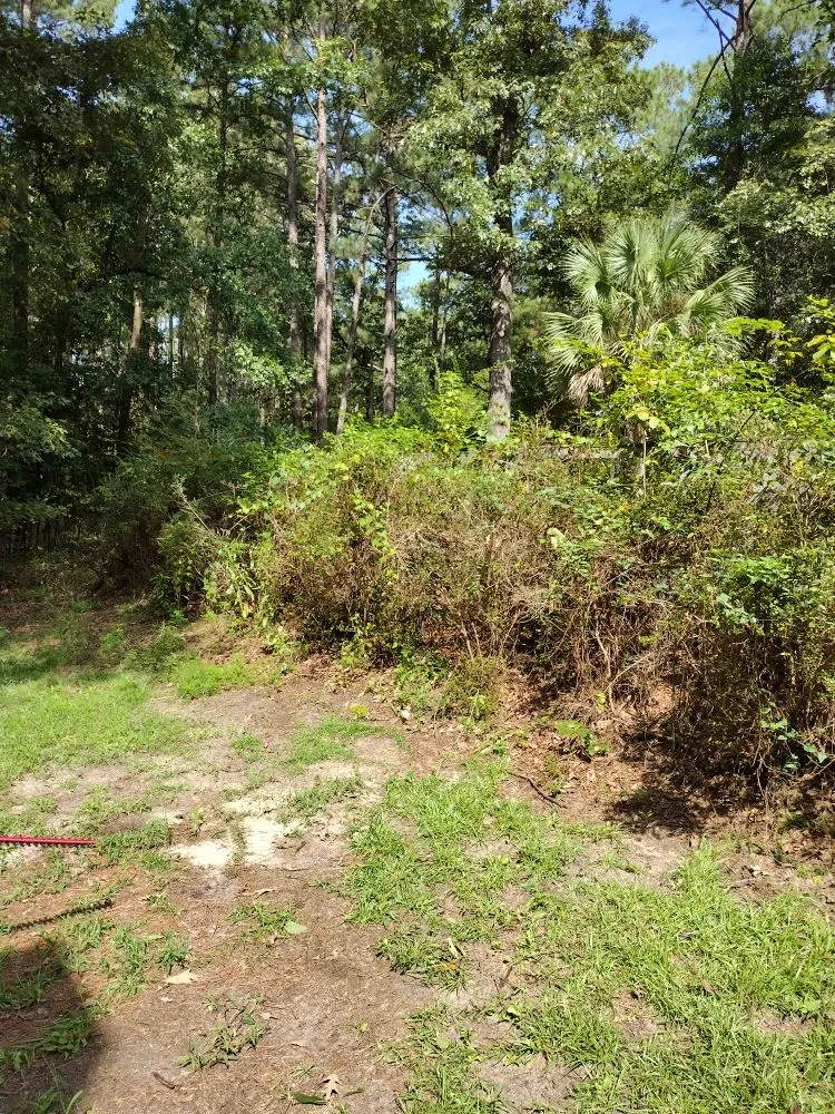 Trusted landscape installation in Windsor, SC - Anderson Landscape & Maintenance Services