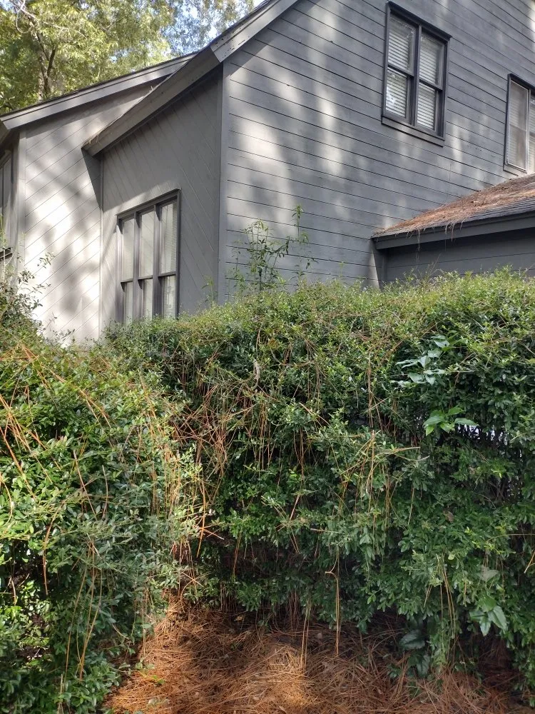 Top-rated landscape installation in Windsor, SC - Anderson Landscape & Maintenance Services