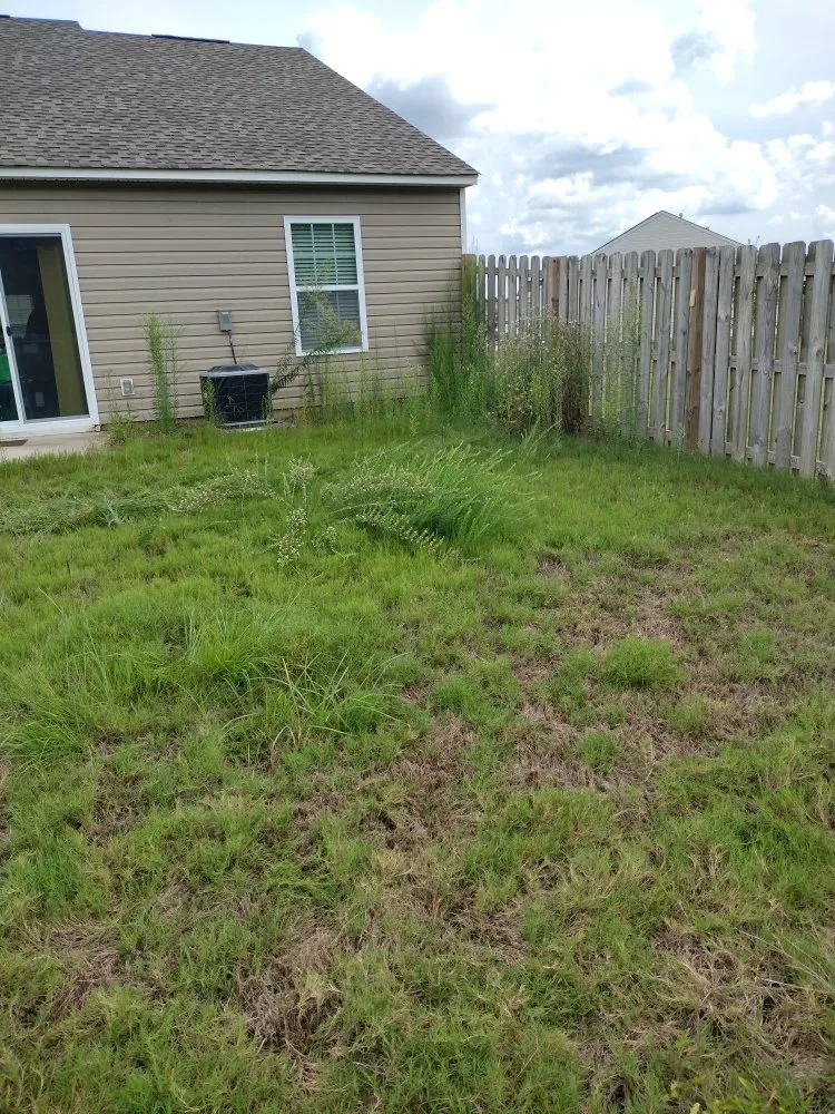 Custom garden landscaping experts serving Windsor, SC - Anderson Landscape & Maintenance Services