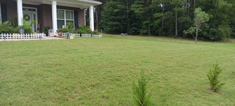Local yard cleanup service in Windsor, SC by Anderson Landscape & Maintenance Services