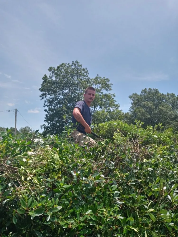 Local residential landscaping for beautiful yards in Windsor, SC by Anderson Landscape & Maintenance Services