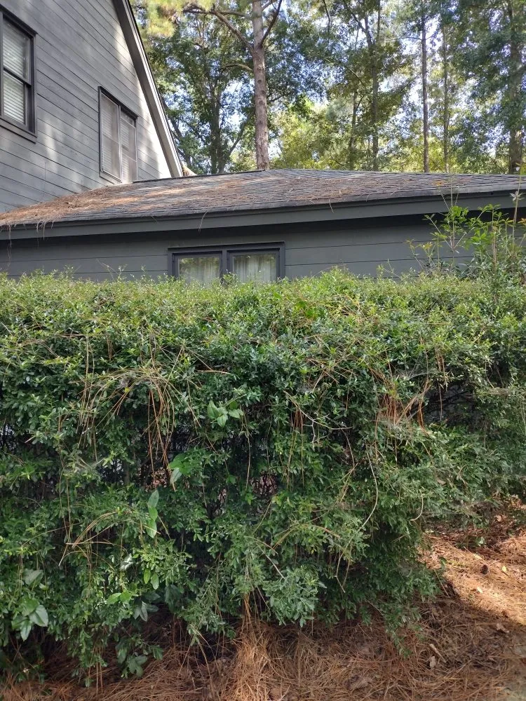 Professional landscape installation experts serving Windsor, SC - Anderson Landscape & Maintenance Services