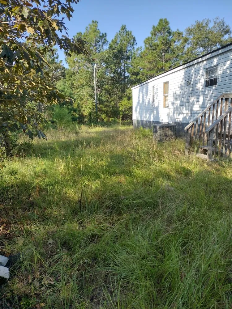Expert lawn care service for residential properties in Windsor, SC by Anderson Landscape & Maintenance Services