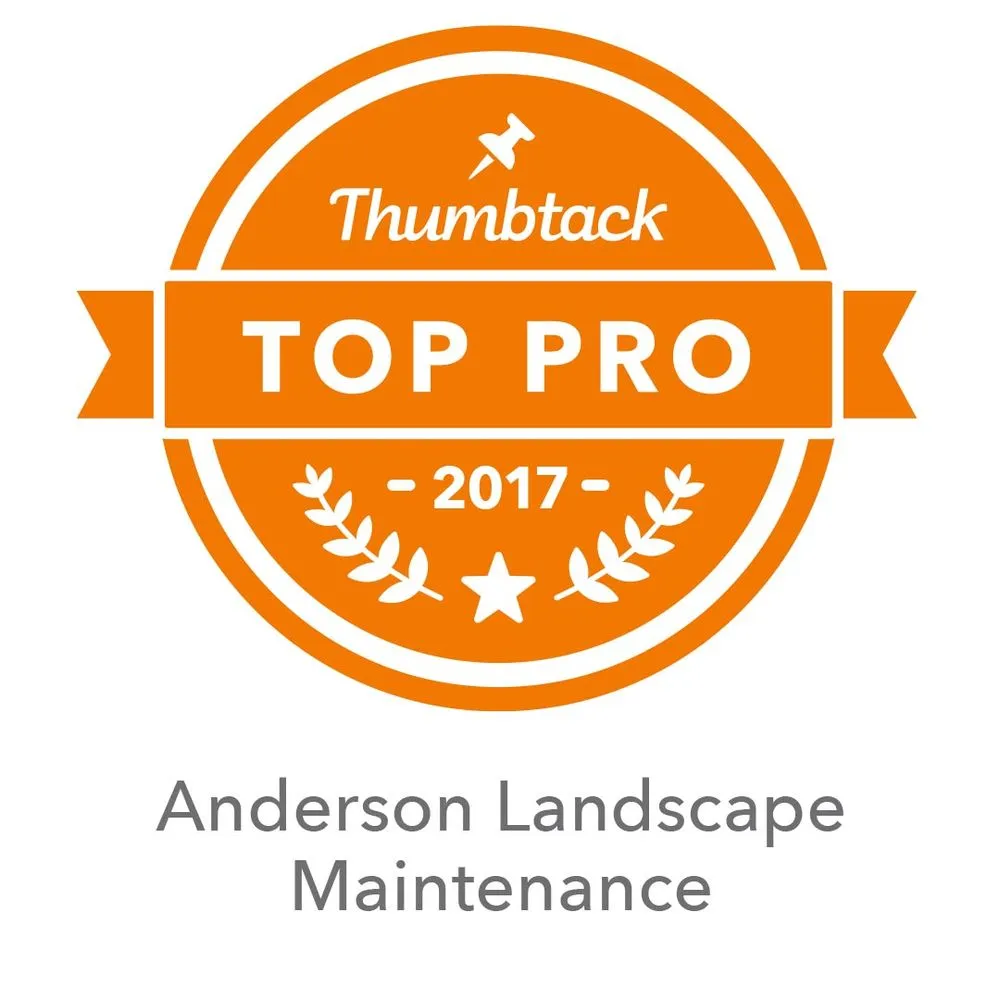 Professional outdoor landscaping in Milwaukie, OR - Anderson Landscape & Tree Service