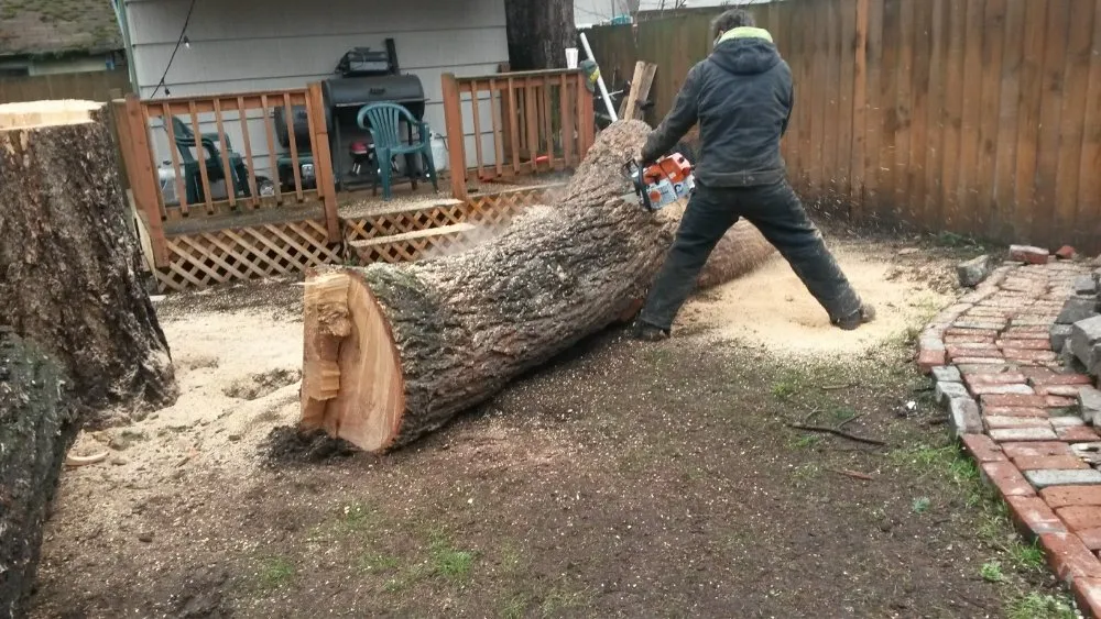 Expert yard cleanup service with custom design across Milwaukie, OR - Anderson Landscape & Tree Service