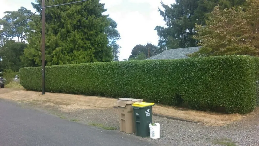 Reliable landscaping services for residential properties across Milwaukie, OR - Anderson Landscape & Tree Service