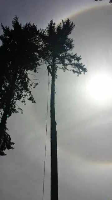 Expert landscape installation with custom design in Milwaukie, OR by Anderson Landscape & Tree Service