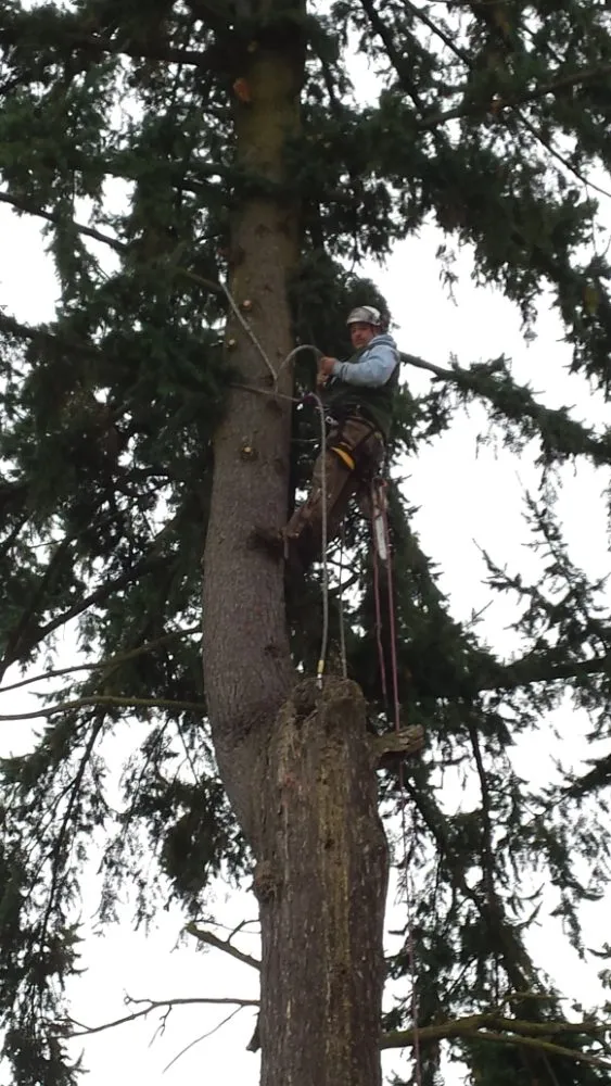 Custom landscape design in Milwaukie, OR by Anderson Landscape & Tree Service