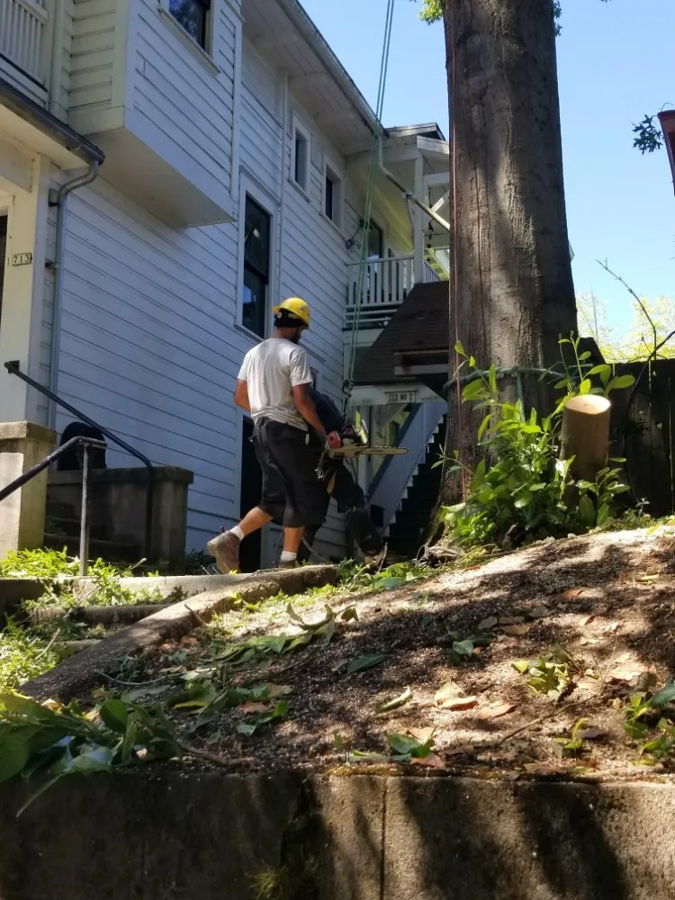 Top-rated yard maintenance near you across Milwaukie, OR - Anderson Landscape & Tree Service