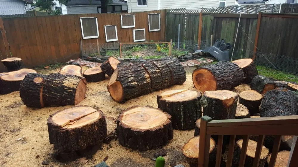 Expert lawn care service in Milwaukie, OR - Anderson Landscape & Tree Service