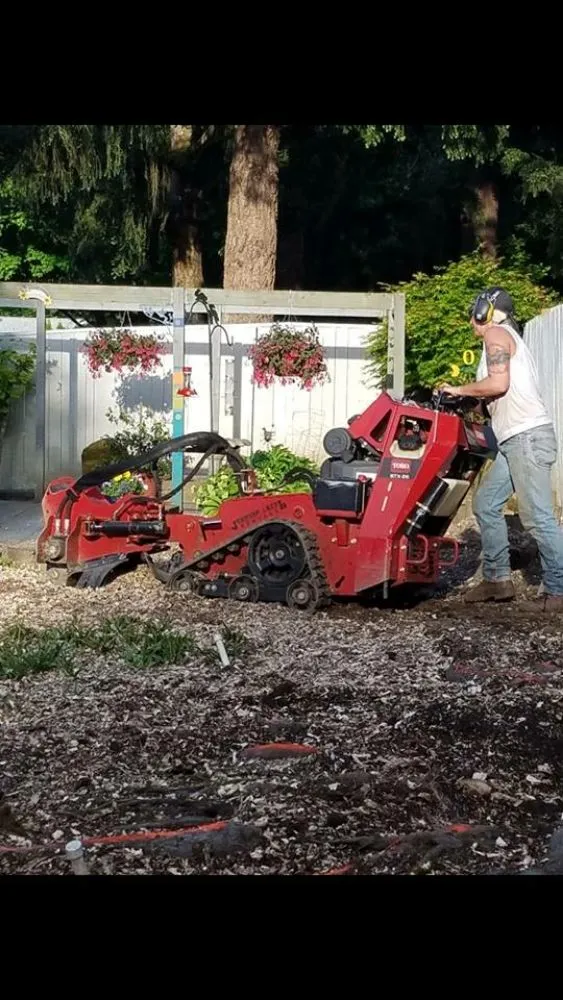 Affordable yard maintenance for year-round maintenance in Milwaukie, OR by Anderson Landscape & Tree Service