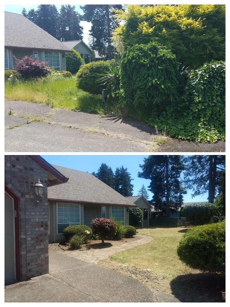 Local yard cleanup service for outdoor upgrades in Milwaukie, OR by Anderson Landscape & Tree Service