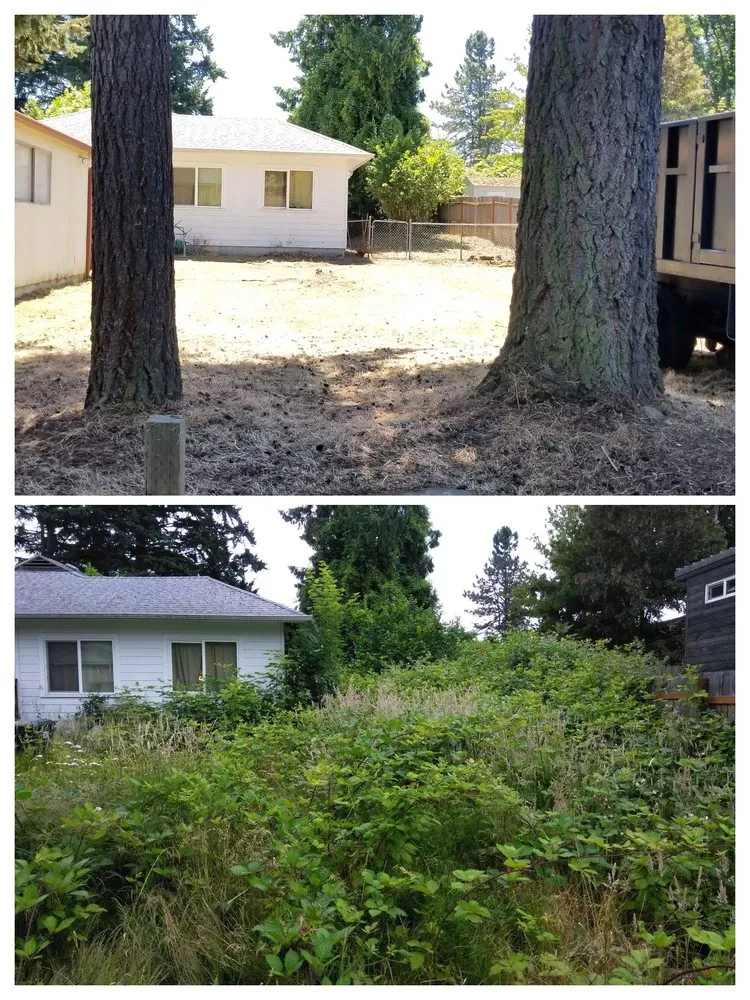 Trusted landscaping services for year-round maintenance across Milwaukie, OR - Anderson Landscape & Tree Service