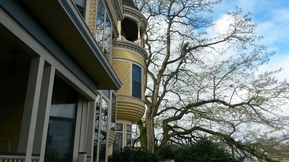 Trusted garden landscaping in Milwaukie, OR - Anderson Landscape & Tree Service