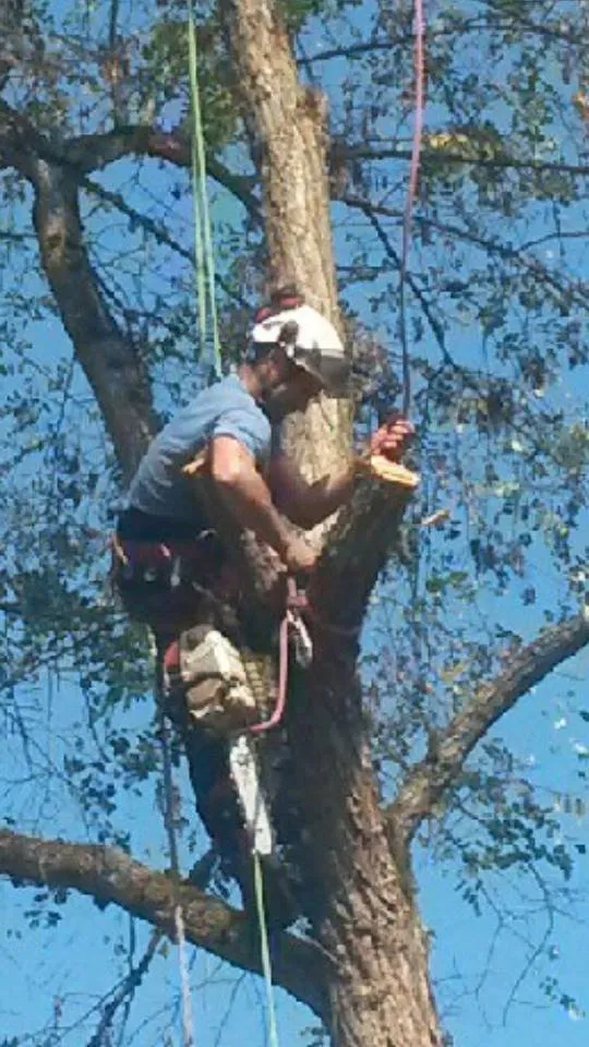 Professional residential landscaping in Milwaukie, OR - Anderson Landscape & Tree Service