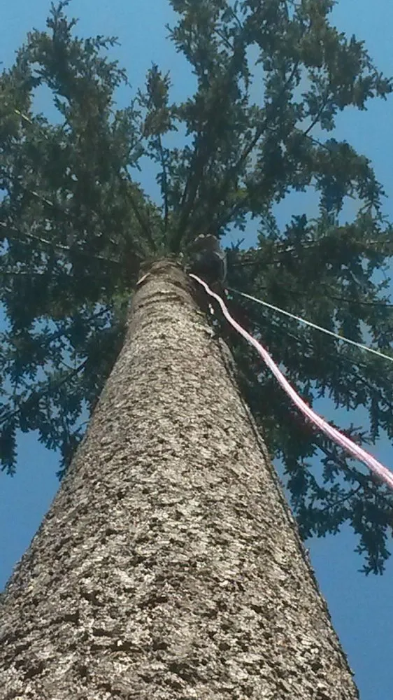 Reliable landscaping services in Milwaukie, OR by Anderson Landscape & Tree Service