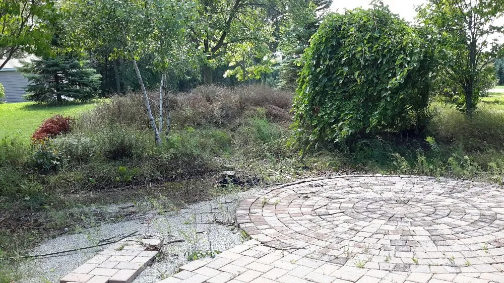 Custom lawn care service for homes across Green Bay, WI - Anderson Landscape